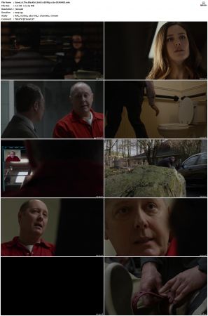 The Blacklist S01-S10 + Redemption DVDRip BDRip x264-Scene