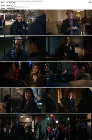Blue Bloods S08 WEBRip EAC3 5 1 1080p x265-iVy