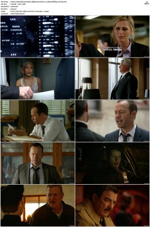 Blue Bloods S03 WEBRip EAC3 5 1 1080p x265-iVy