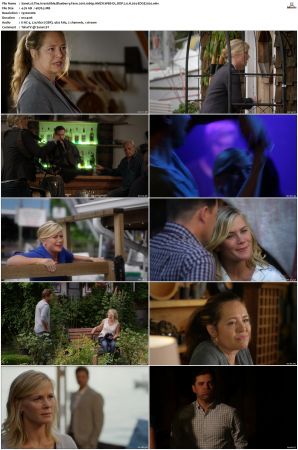 The Irresistible Blueberry Farm 2016 1080p AMZN WEB-DL DDP 2.0 H264-EDGE2020