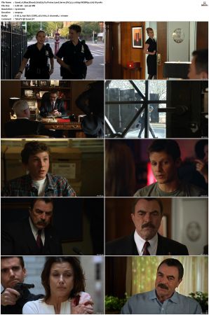 Blue Bloods S04 WEBRip EAC3 5 1 1080p x265-iVy