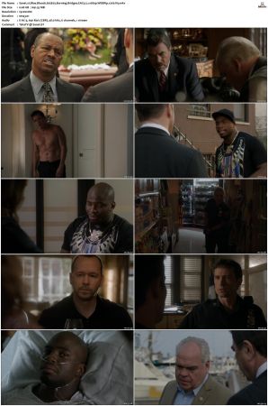 Blue Bloods S05 WEBRip EAC3 5 1 1080p x265-iVy