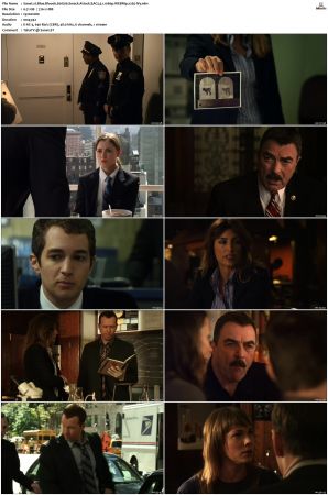 Blue Bloods S01 WEBRip EAC3 5 1 1080p x265-iVy