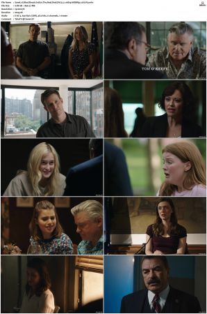 Blue Bloods S10 WEBRip EAC3 5.1 1080p x265-iVy