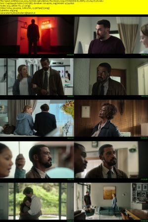 White Lies 2024 S01 720p STAN WEB-DL DDP5.1 H264-FLUX