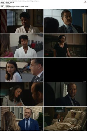 Blue Bloods S12 WEBRip EAC3 5 1 1080p x265-iVy