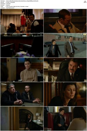 Blue Bloods S03 WEBRip EAC3 5 1 1080p x265-iVy