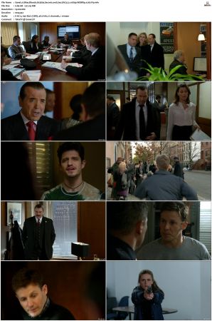 Blue Bloods S03 WEBRip EAC3 5 1 1080p x265-iVy