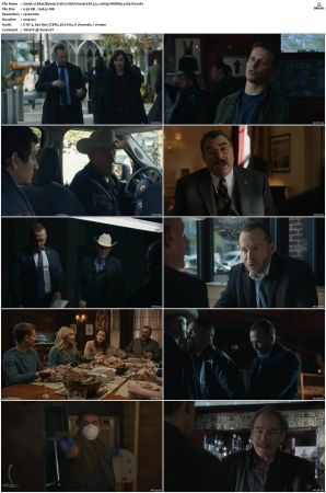 Blue Bloods S12 WEBRip EAC3 5 1 1080p x265-iVy