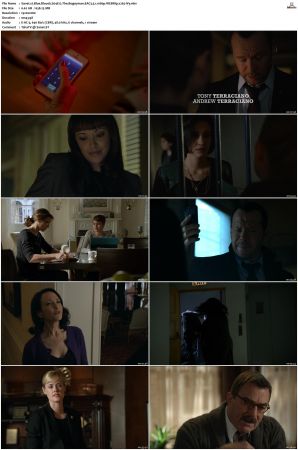 Blue Bloods S04 WEBRip EAC3 5 1 1080p x265-iVy