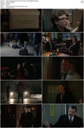 Blue Bloods S05 WEBRip EAC3 5 1 1080p x265-iVy