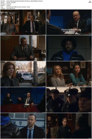 Blue Bloods S13 WEBRip EAC3 5 1 1080p x265-iVy