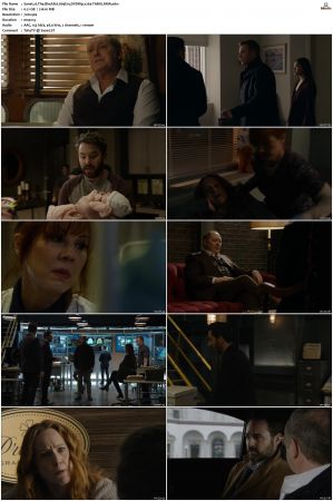 The Blacklist S01-S10 + Redemption DVDRip BDRip x264-Scene