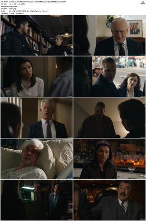 Blue Bloods S12 WEBRip EAC3 5 1 1080p x265-iVy