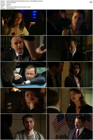 Blue Bloods S02 WEBRip EAC3 5 1 1080p x265-iVy