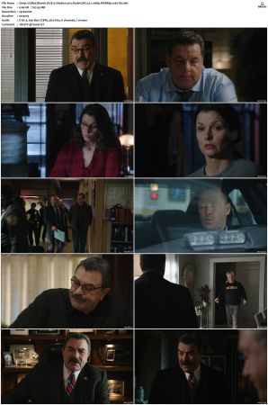 Blue Bloods S07 WEBRip EAC3 5 1 1080p x265-iVy