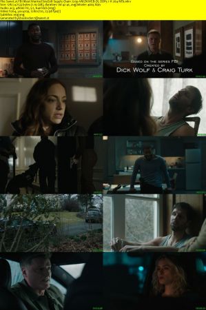 FBI Most Wanted S05E08 Supply Chain 720p AMZN WEB-DL DDP5 1 H 264-NTb