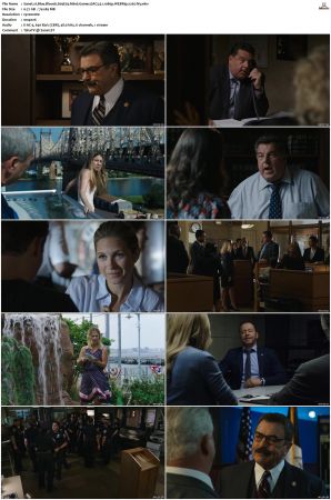 Blue Bloods S09 WEBRip EAC3 5 1 1080p x265-iVy