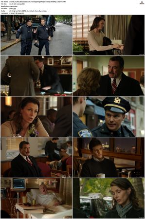 Blue Bloods S02 WEBRip EAC3 5 1 1080p x265-iVy