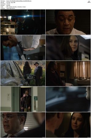 The Blacklist S01-S10 + Redemption DVDRip BDRip x264-Scene