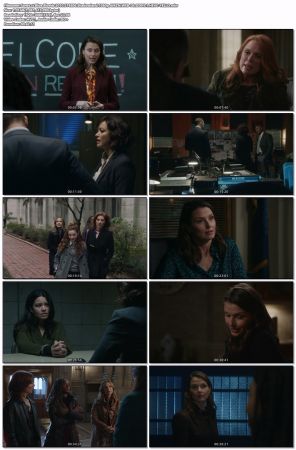 Blue Bloods 2010 S14E06 Shadowland 1080p AMZN WEB-DL DDP5 1 HEVC-YELLO