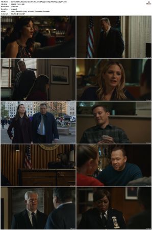 Blue Bloods S12 WEBRip EAC3 5 1 1080p x265-iVy