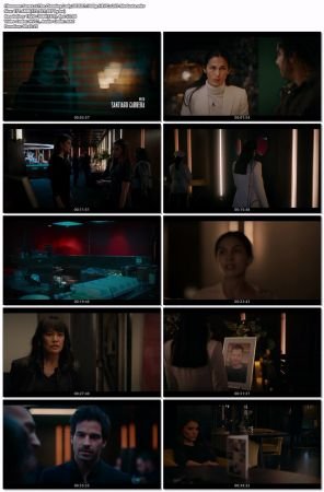 The Cleaning Lady S03E07 1080p HEVC x265-MeGusta