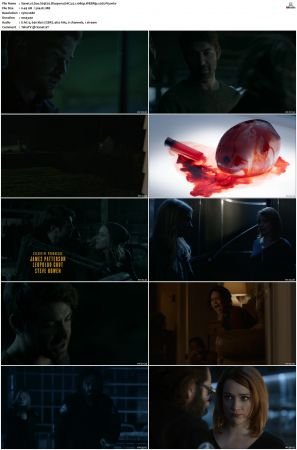 Zoo S03 WEBRip EAC3 5 1 1080p x265-iVy