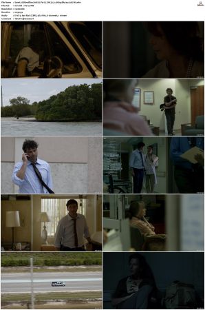 Bloodline S01 Bluray EAC3 5.1 1080p x265-iVy
