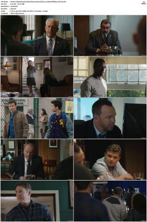 Blue Bloods S10 WEBRip EAC3 5.1 1080p x265-iVy