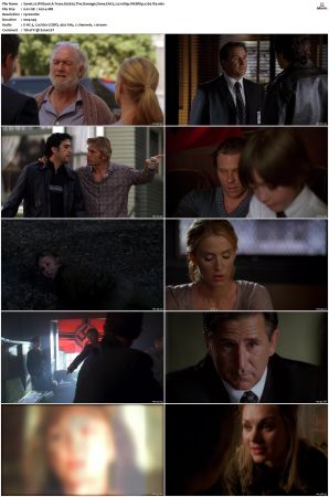 Without A Trace S05 WEBRip EAC3 2 0 1080p x265-iVy