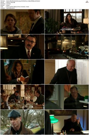 Blue Bloods S02 WEBRip EAC3 5 1 1080p x265-iVy