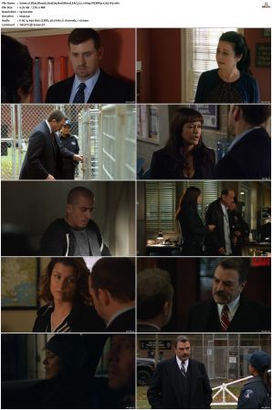 Blue Bloods S04 WEBRip EAC3 5 1 1080p x265-iVy