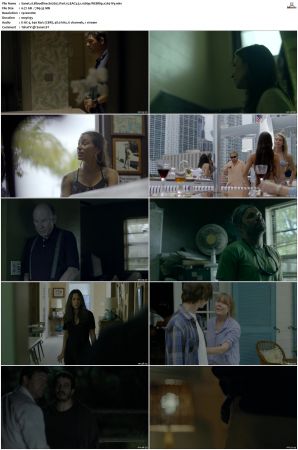 Bloodline S02 WEBRip EAC3 5.1 1080p x265-iVy