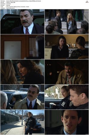 Blue Bloods S04 WEBRip EAC3 5 1 1080p x265-iVy