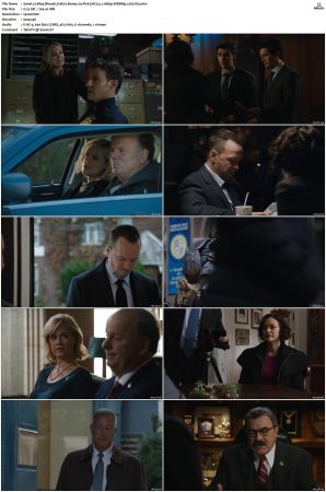 Blue Bloods S10 WEBRip EAC3 5.1 1080p x265-iVy