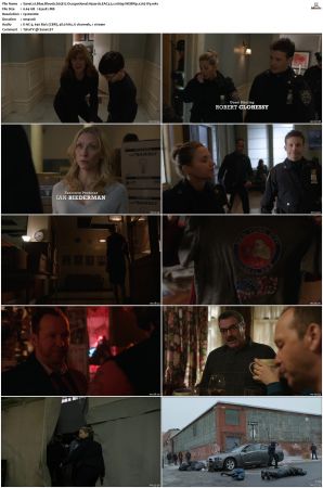 Blue Bloods S05 WEBRip EAC3 5 1 1080p x265-iVy