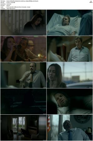 Bloodline S03 WEBRip EAC3 5.1 1080p x265-iVy