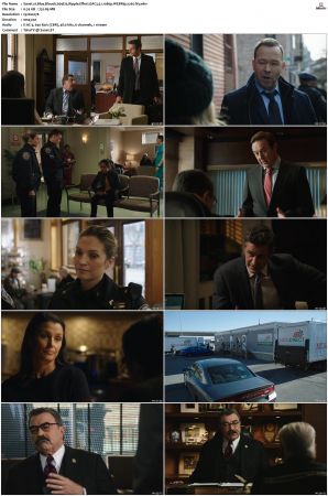 Blue Bloods S09 WEBRip EAC3 5 1 1080p x265-iVy