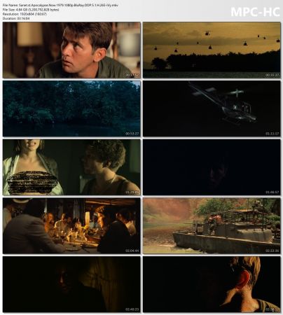 Apocalypse Now 1979 1080p BluRay DDP 5.1 H265-iVy