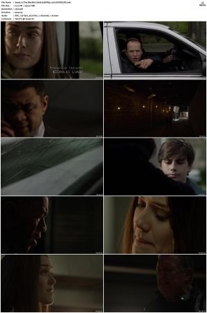 The Blacklist S01-S10 + Redemption DVDRip BDRip x264-Scene