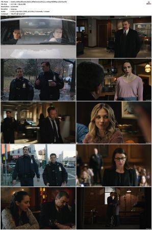 Blue Bloods S09 WEBRip EAC3 5 1 1080p x265-iVy