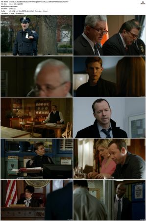 Blue Bloods S03 WEBRip EAC3 5 1 1080p x265-iVy
