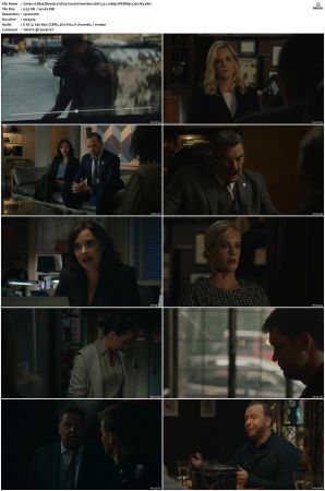 Blue Bloods S12 WEBRip EAC3 5 1 1080p x265-iVy
