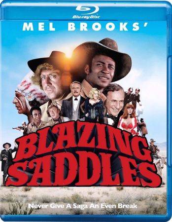 Blazing Saddles 1974 1080p BluRay DDP5.1 x265 10bit-GalaxyRG265