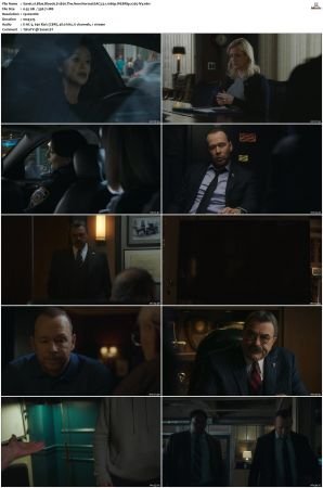 Blue Bloods S11 WEBRip EAC3 5 1 1080p x265-iVy