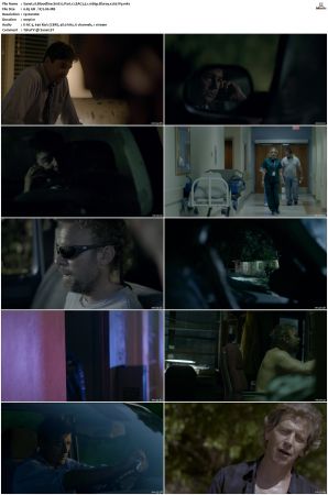 Bloodline S01 Bluray EAC3 5.1 1080p x265-iVy