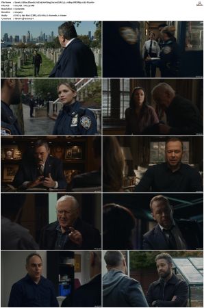 Blue Bloods S13 WEBRip EAC3 5 1 1080p x265-iVy
