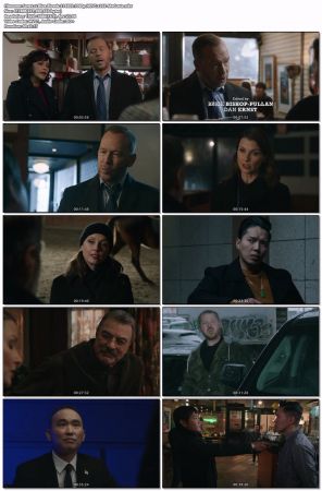 Blue Bloods S14E05 1080p HEVC x265-MeGusta