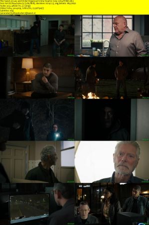 Law and Order Organized Crime S04E10 720p x264-FENiX